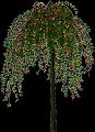 fleurs et nature (179)